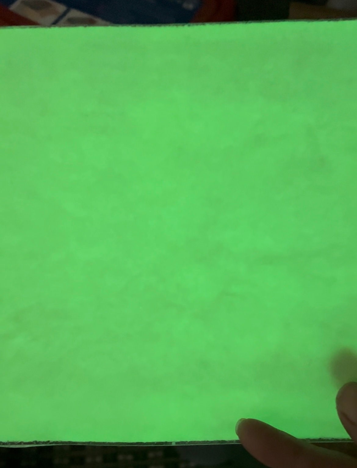 COE 90 / Green during day and glows Green at night!/ Nuclear Newt