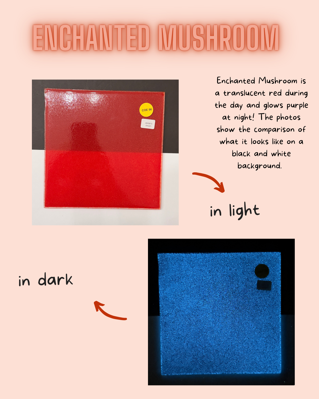 COE 96 / Red during day and glows Purple at night!/ Enchanted Mushroom