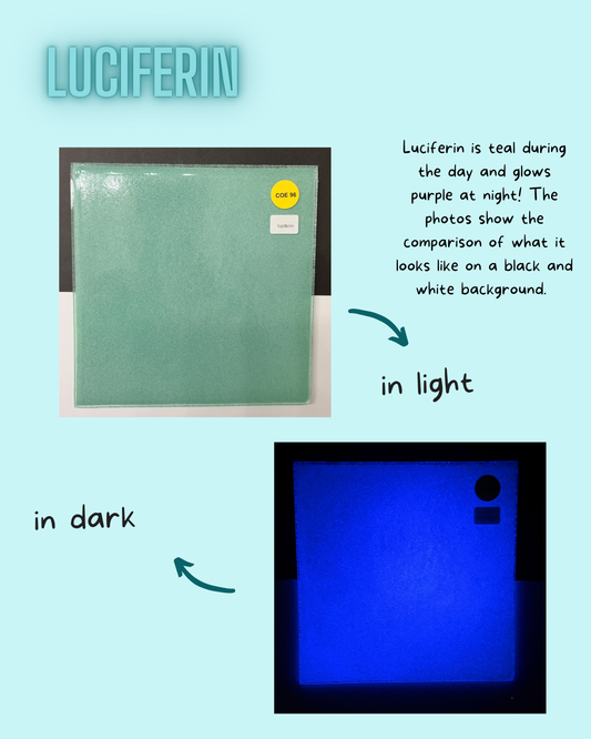 COE 96 / Teal during day and glows Purple at night!/ Luciferin