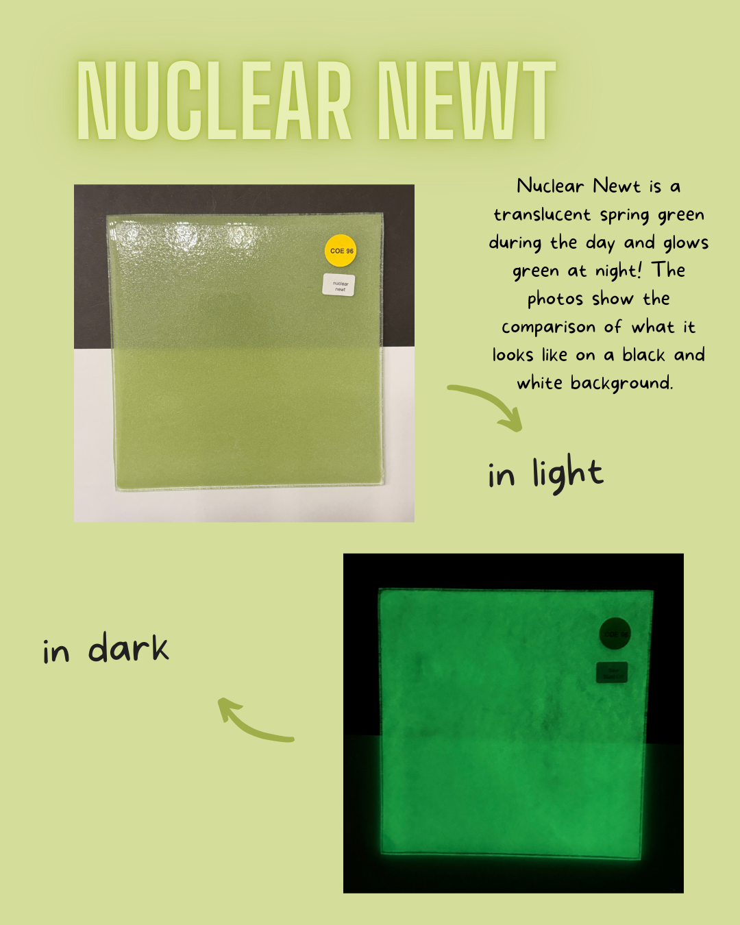 COE 96 / Green during day and glows Green at night!/ Nuclear Newt