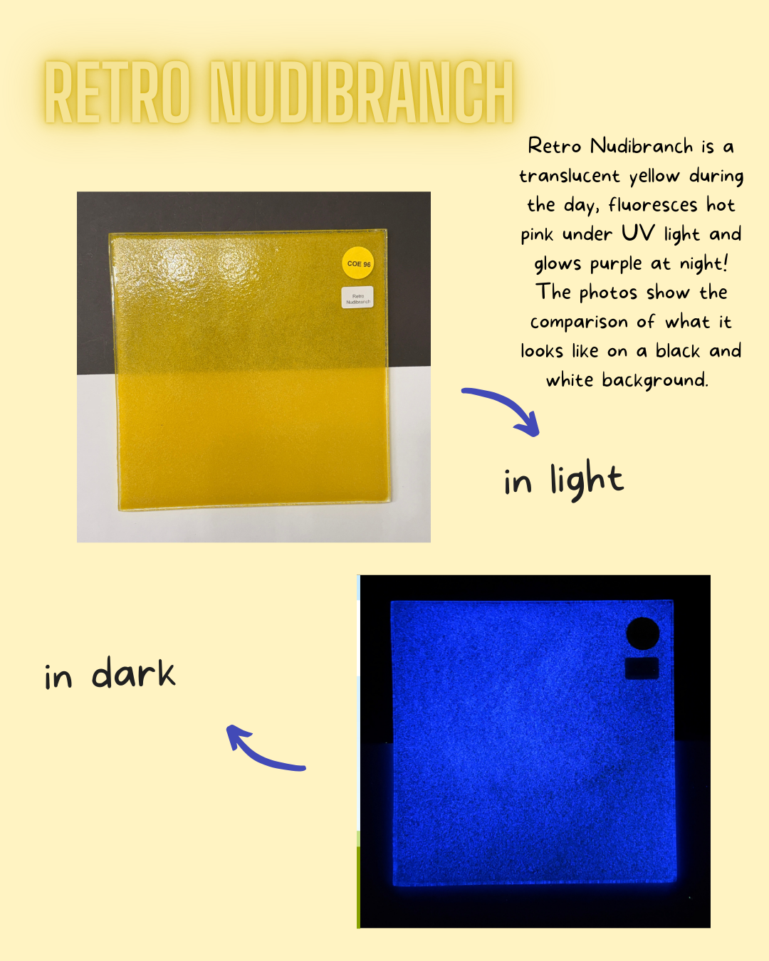 COE 96  / Yellow during the day, purple glow at night/ Retro Nudibranch