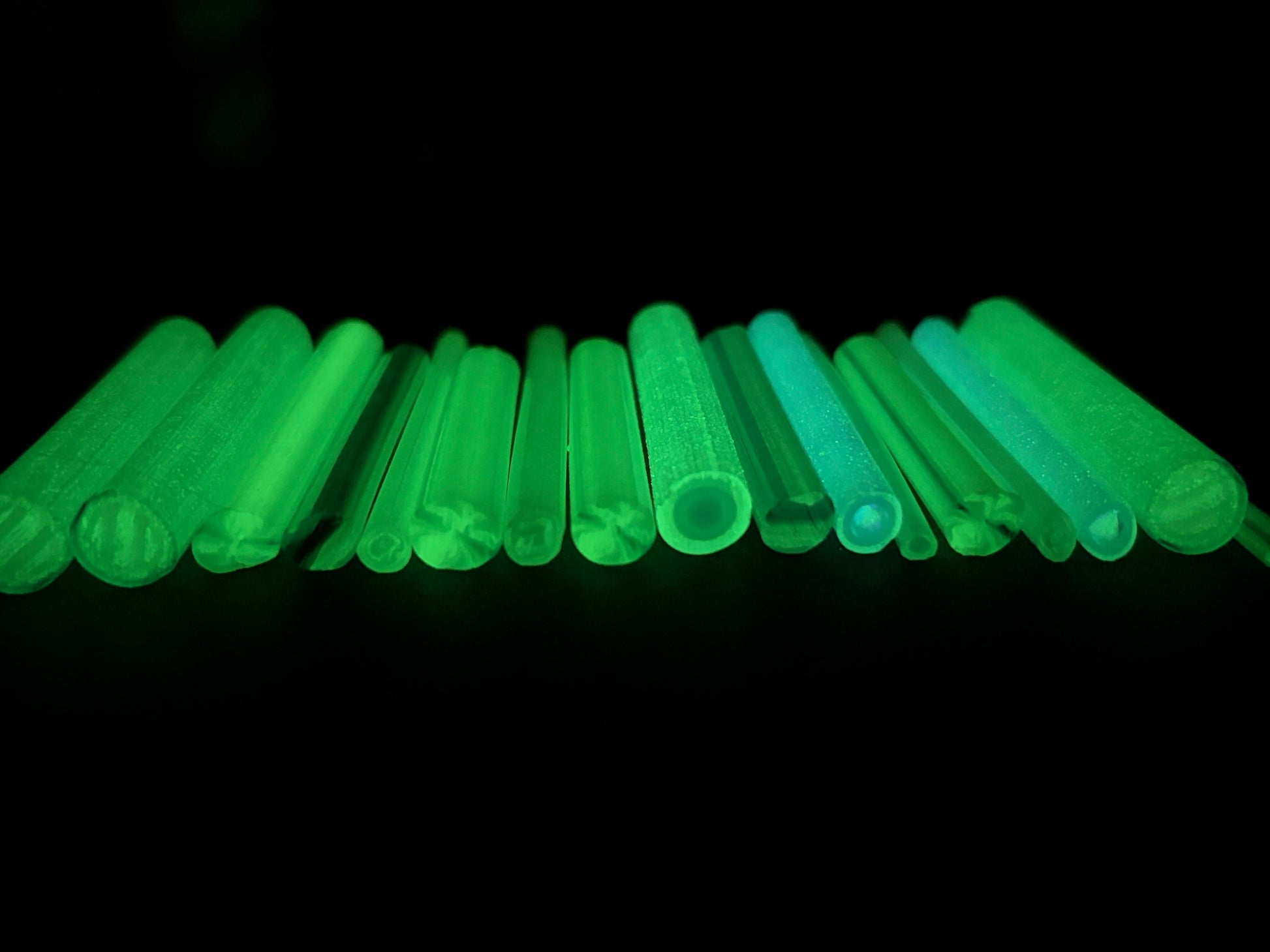 A row of blue cane that glows green in the dark