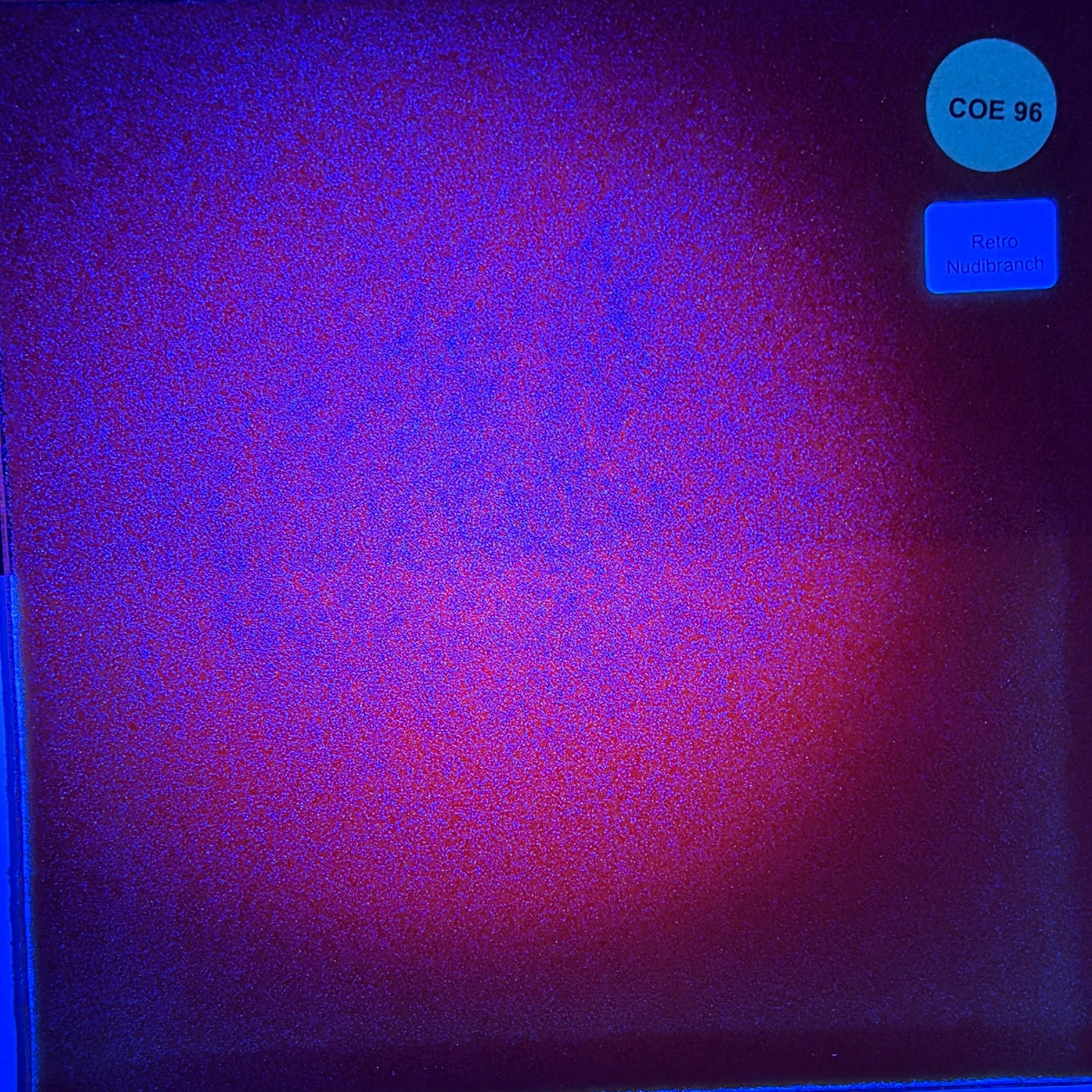 COE 96  / Yellow during the day, purple glow at night/ Retro Nudibranch