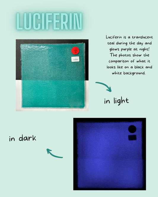 COE 90 / Teal during day and glows Purple at night!/ Luciferin
