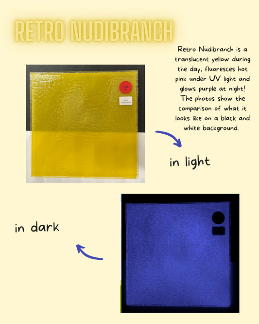 COE 90 / Yellow during the day, purple glow at night/ Retro Nudibranch