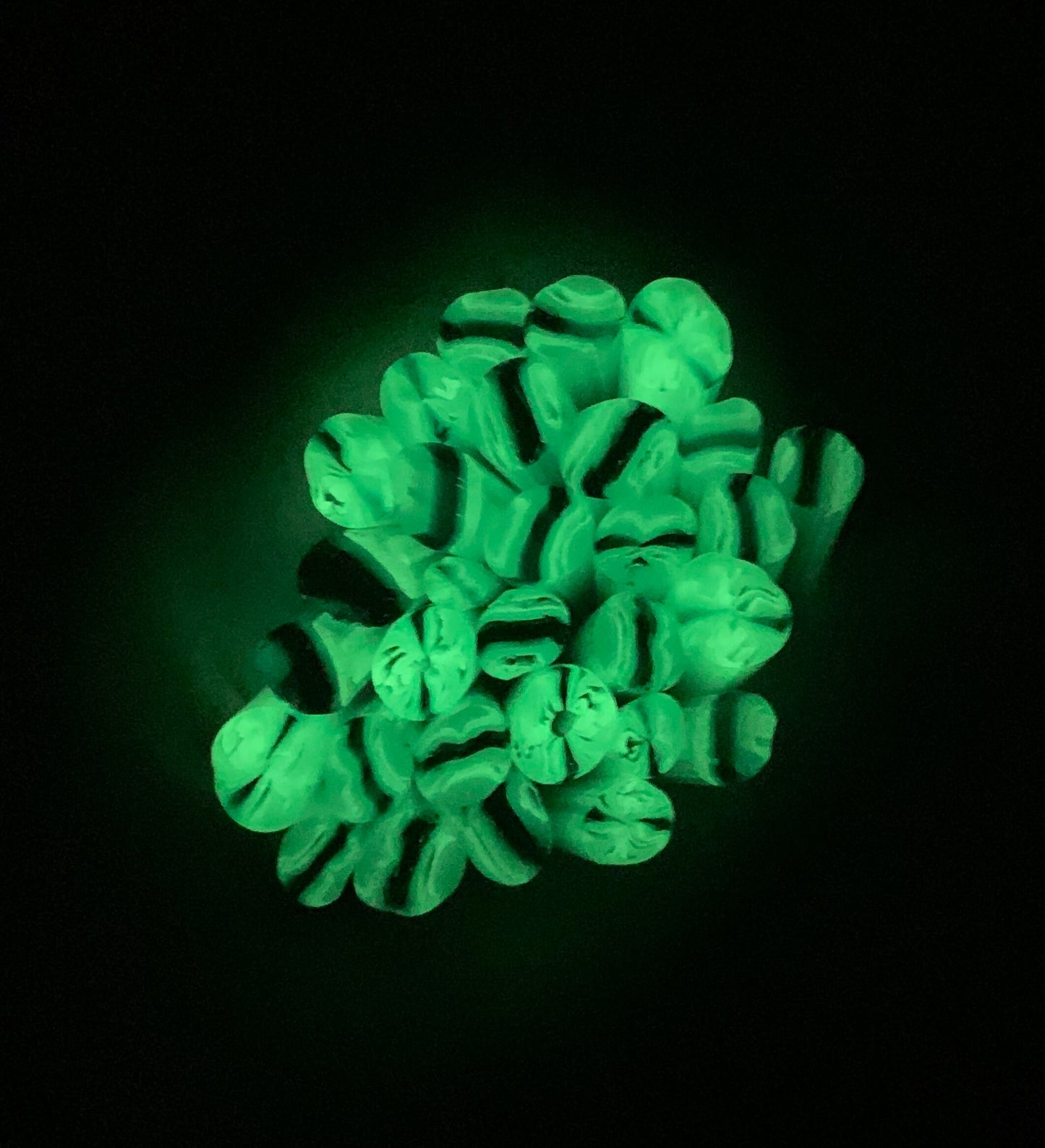 COE 90 / Pool Days Glow-Rini! Green glow in the dark murrini